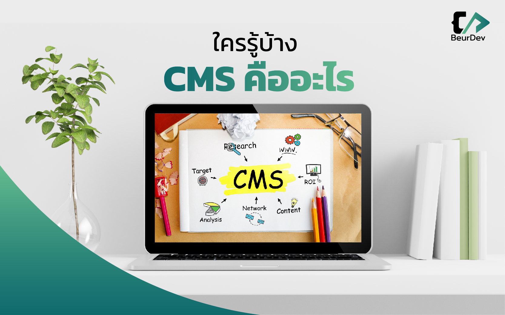 CMS คือ